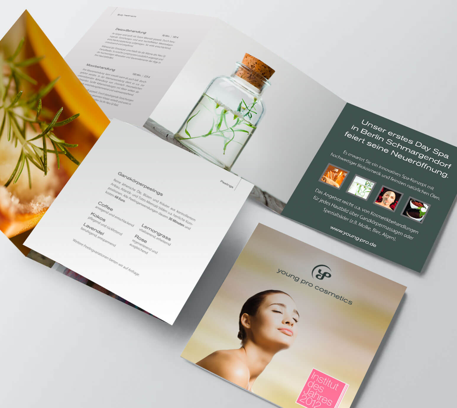 Webdesigner Berlin, PRIMA LINE - auch Grafikdesign