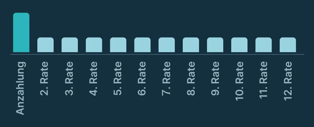 Balkendiagramm: Anzahlung und zwölf gleich hohe Monatsraten für eine Website